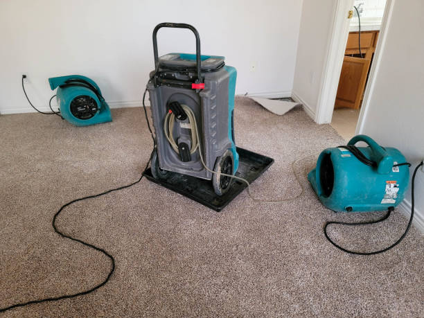 Best Flood restoration services  in Greenback, TN