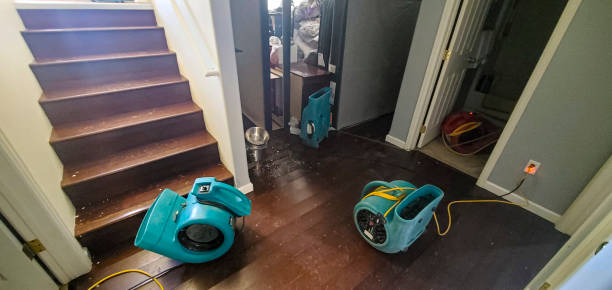 Best Fire Damage Restoration  in Greenback, TN