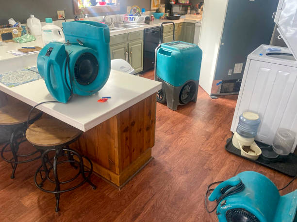 Best Sewage cleanup and water damage restoration  in Greenback, TN