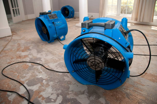 Best Water damage contractors near me  in Greenback, TN
