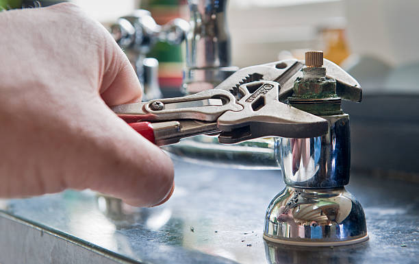 Best Water damage restoration specialists  in Greenback, TN