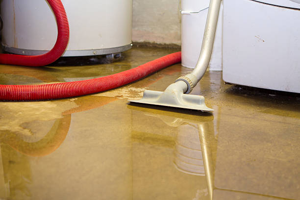 Best Carpet water damage restoration  in Greenback, TN