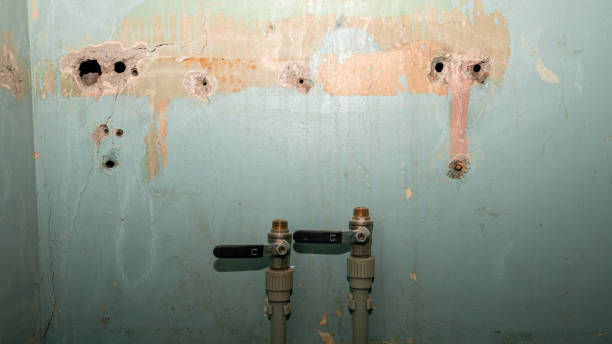 Best Basement water damage restoration  in Greenback, TN