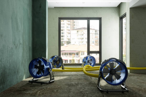 Best Water damage restoration near me  in Greenback, TN
