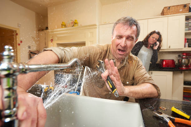 Best 24/7 water damage repair  in Greenback, TN